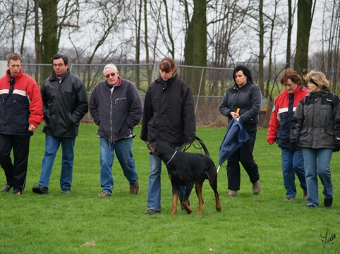  ZTP D.V.I.N. Kringgroep Utrecht 28. 1. 2007